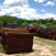 Mesquite Lumber