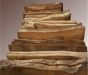 Mesquite Mixed Lengths